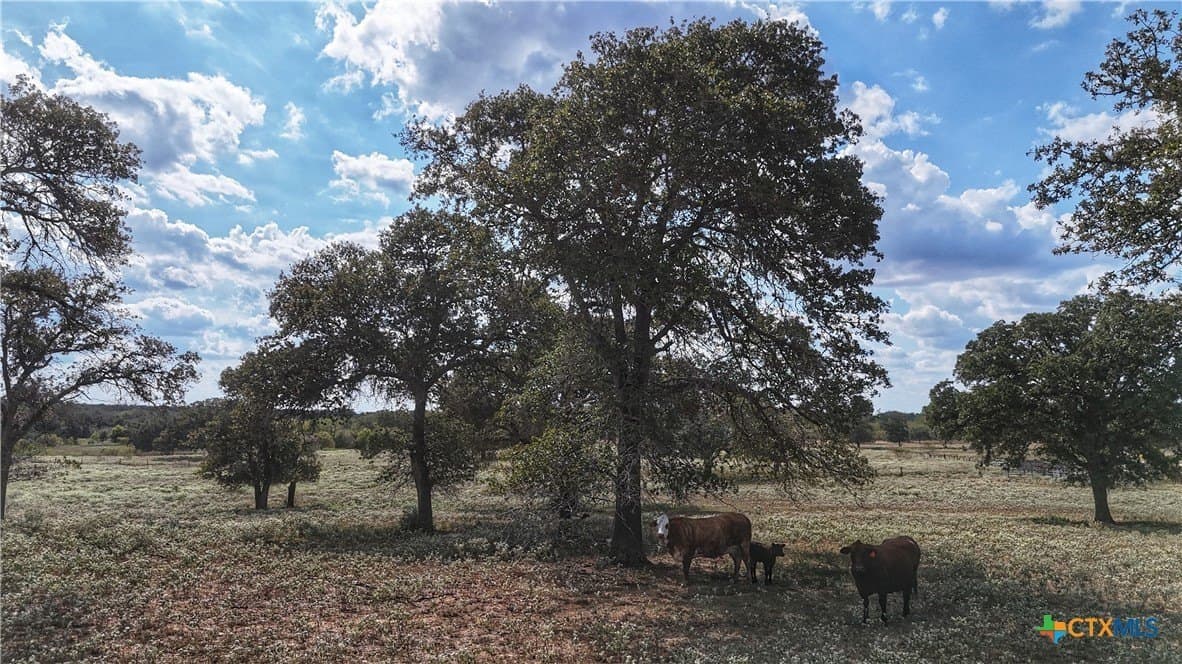 10.24 acres in Gonzales County - photo 4