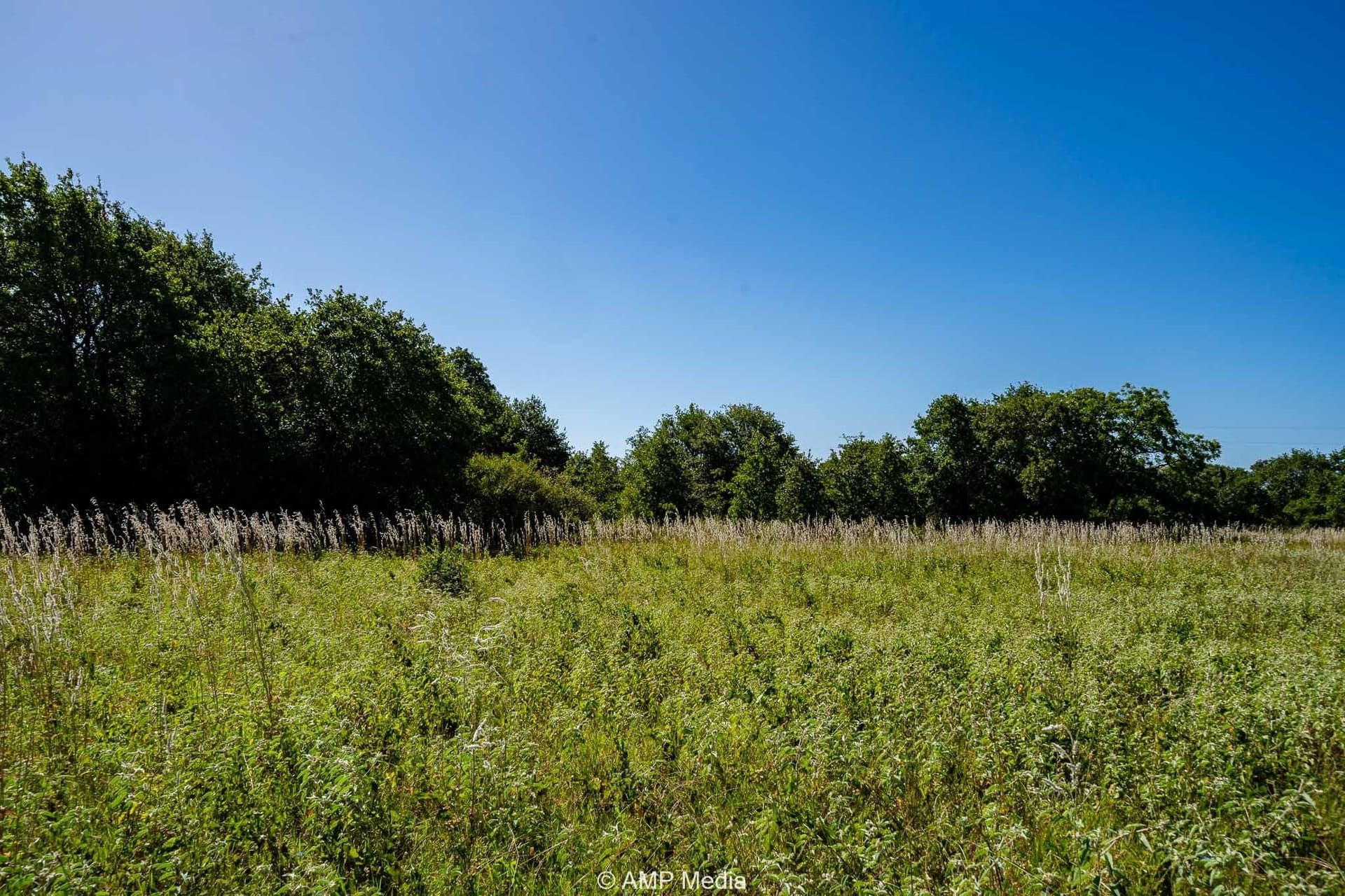 7.5 acres in Eastland County - photo 3