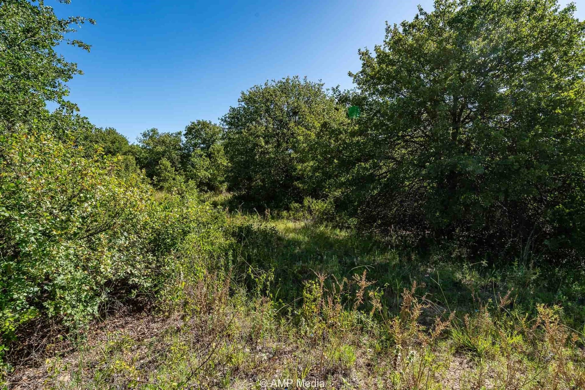 7.5 acres in Eastland County - photo 5