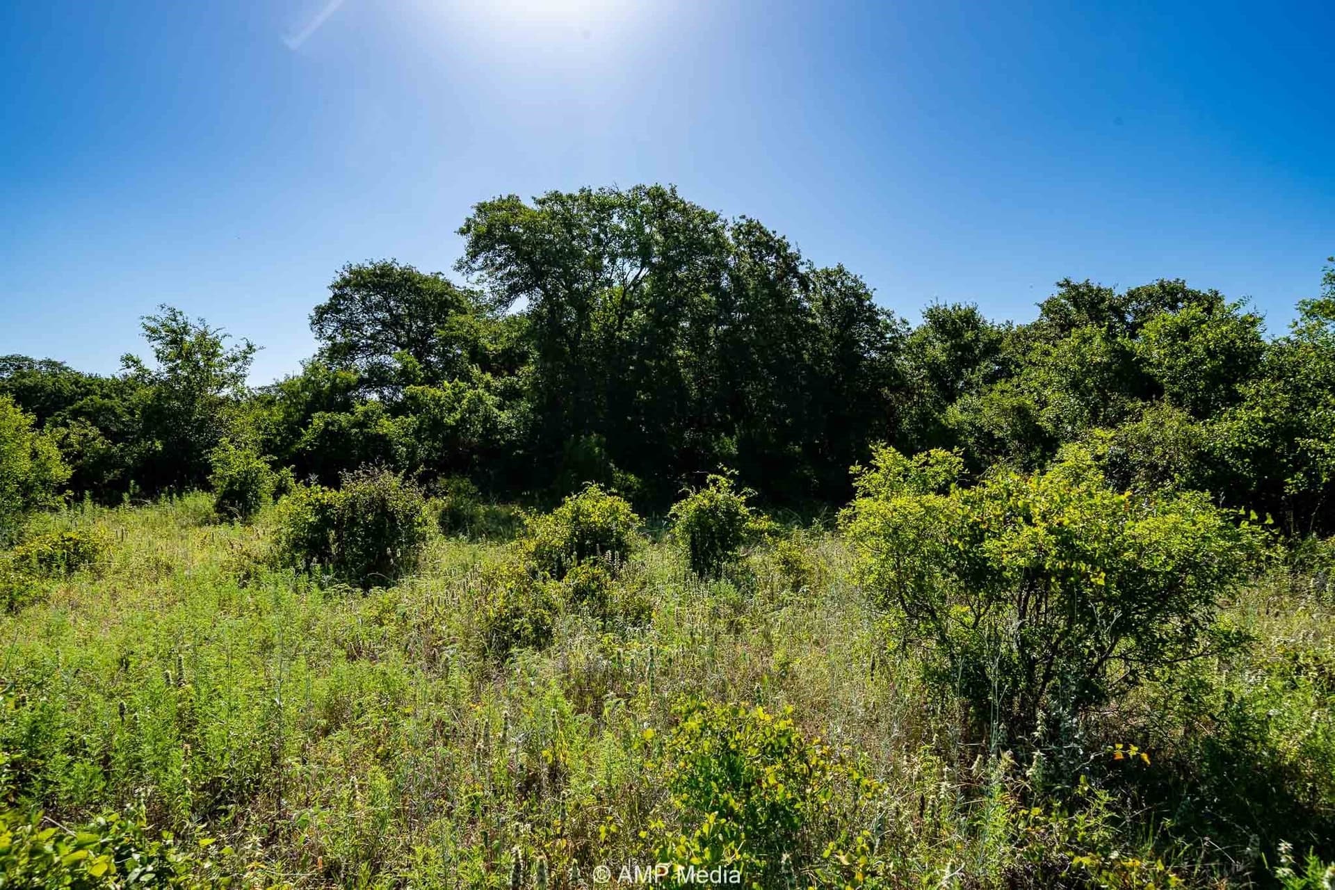 7.5 acres in Eastland County - photo 2