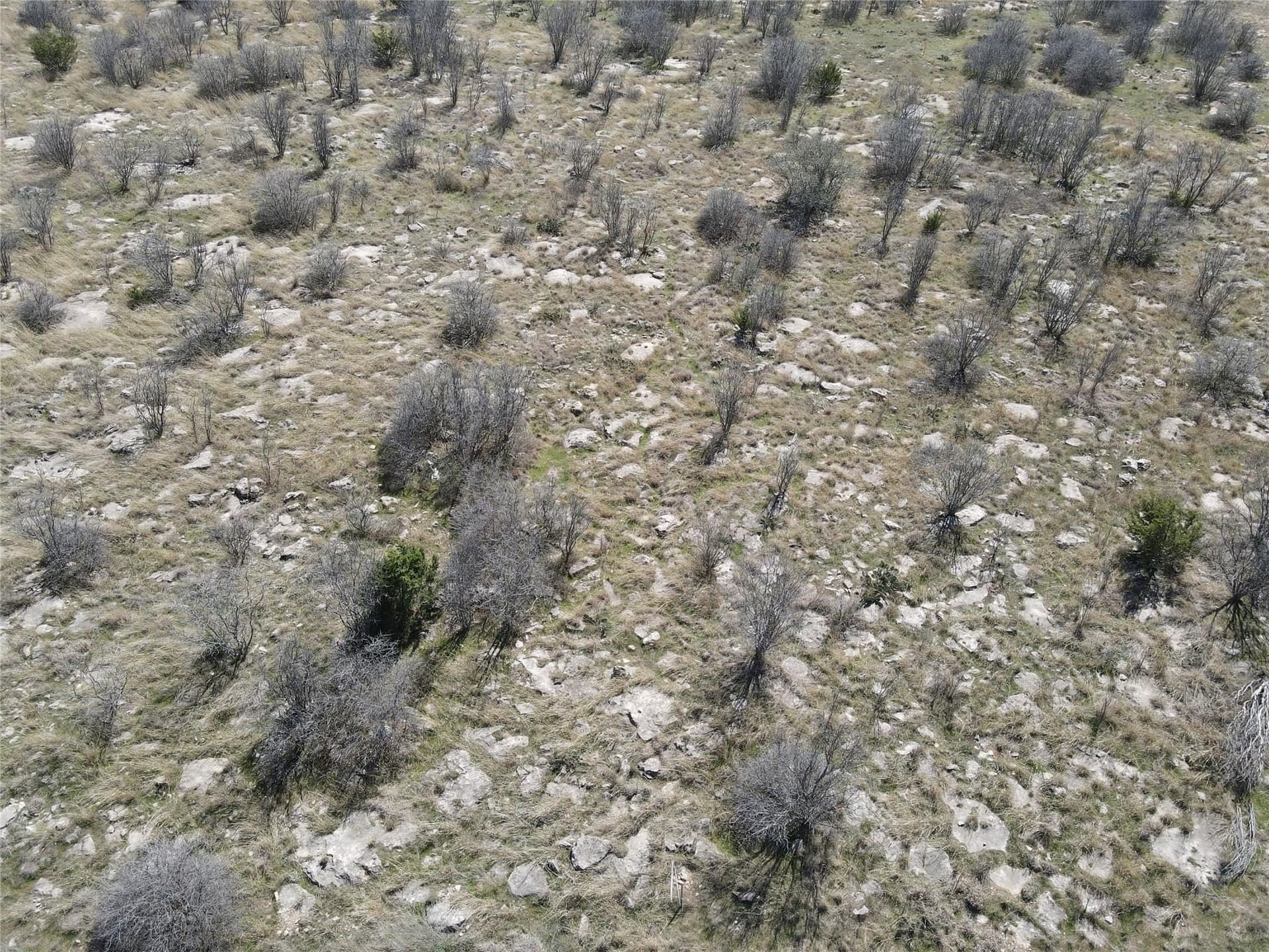 0.27 acres in Palo Pinto County gallery image 3