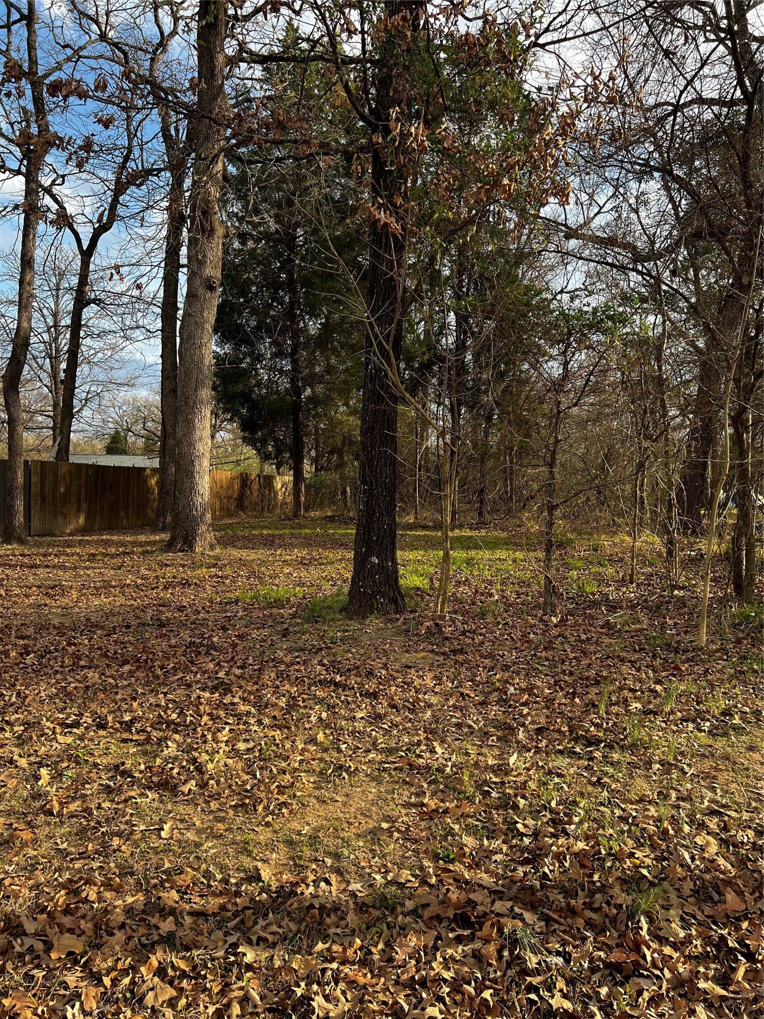 0.2 acres in Henderson County gallery image 2