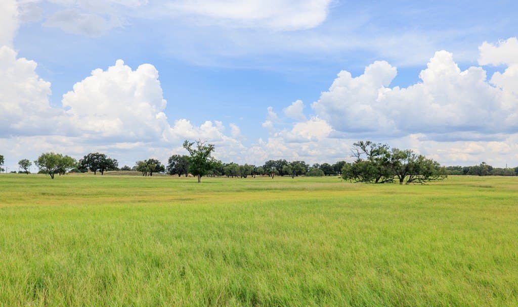 53 acres in Gillespie County - photo 19