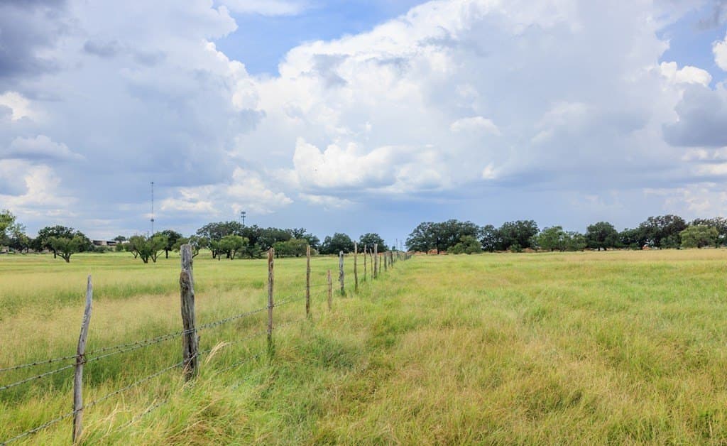 53 acres in Gillespie County - photo 6