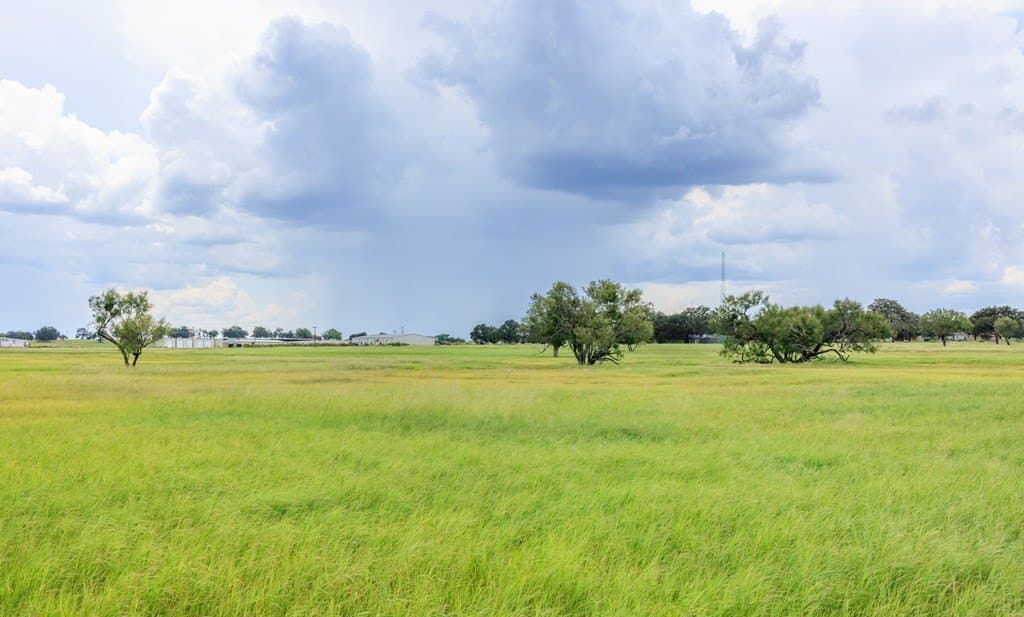 53 acres in Gillespie County - photo 9