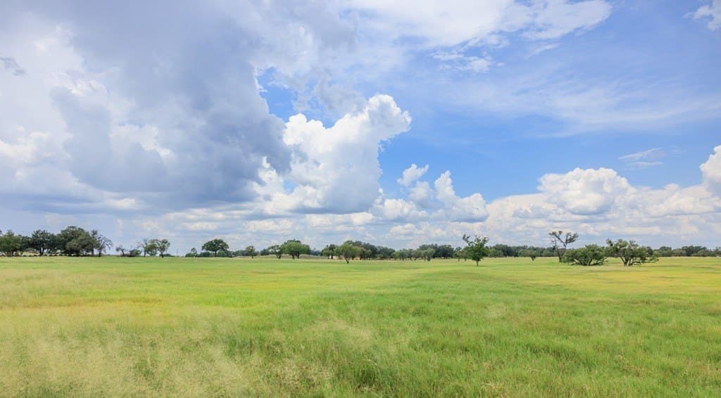 53 acres in Gillespie County - photo 10