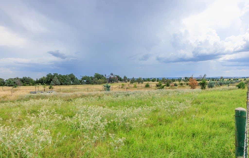 53 acres in Gillespie County - photo 8