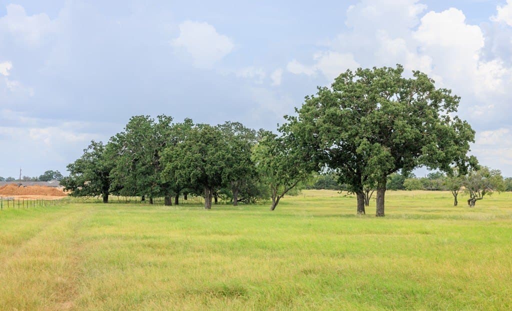 53 acres in Gillespie County - photo 15