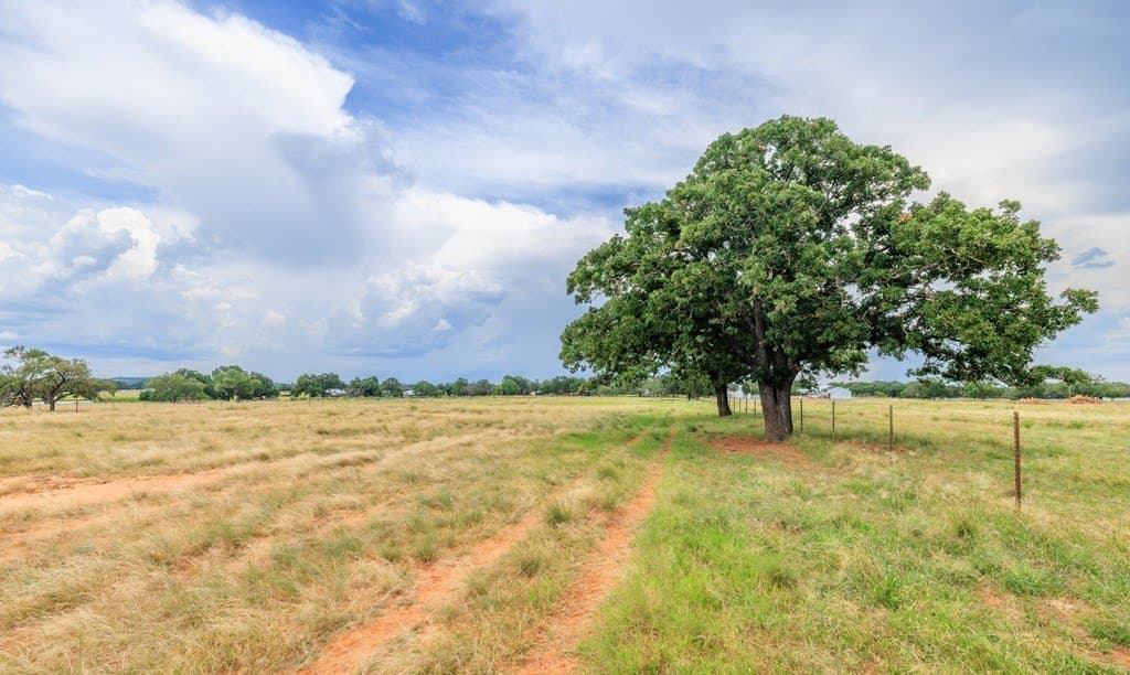 53 acres in Gillespie County - photo 21