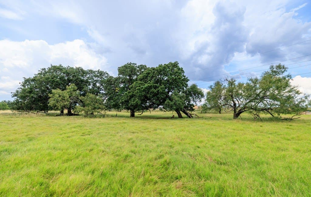 53 acres in Gillespie County - photo 3