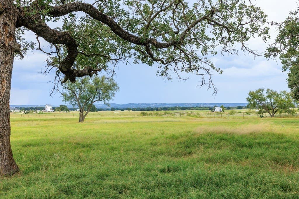 53 acres in Gillespie County - photo 12