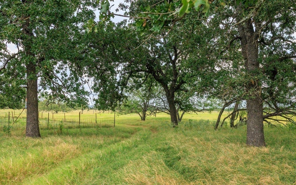 53 acres in Gillespie County - photo 18