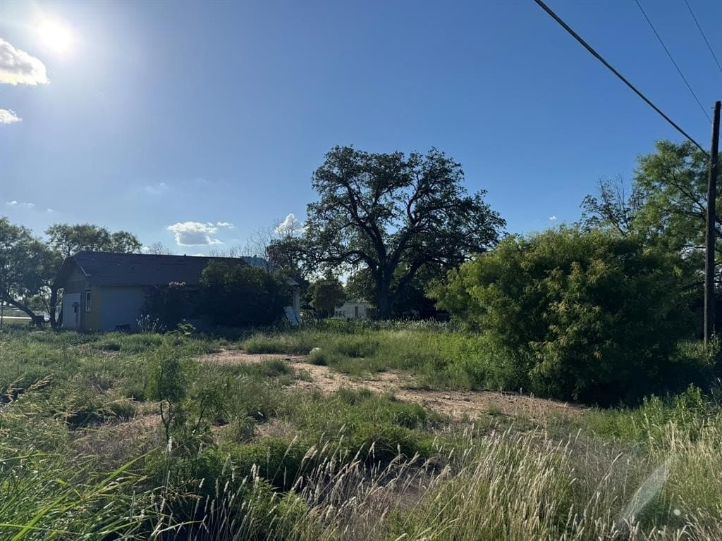 0.25 acres in McCulloch County gallery image 3