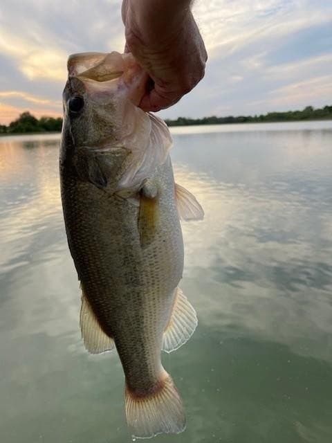 62.5 acres in Erath County featured view