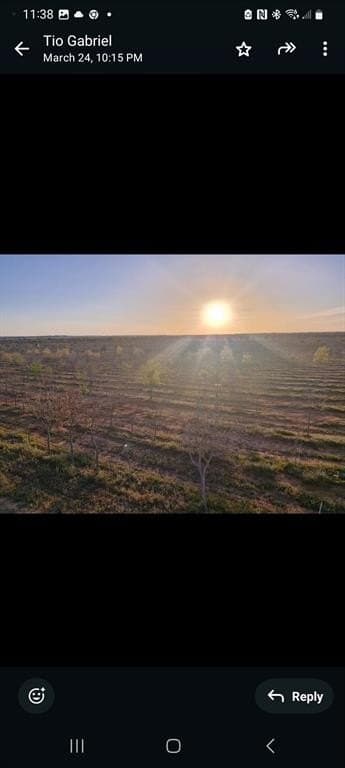 97.41 acres in Comanche County gallery image 2