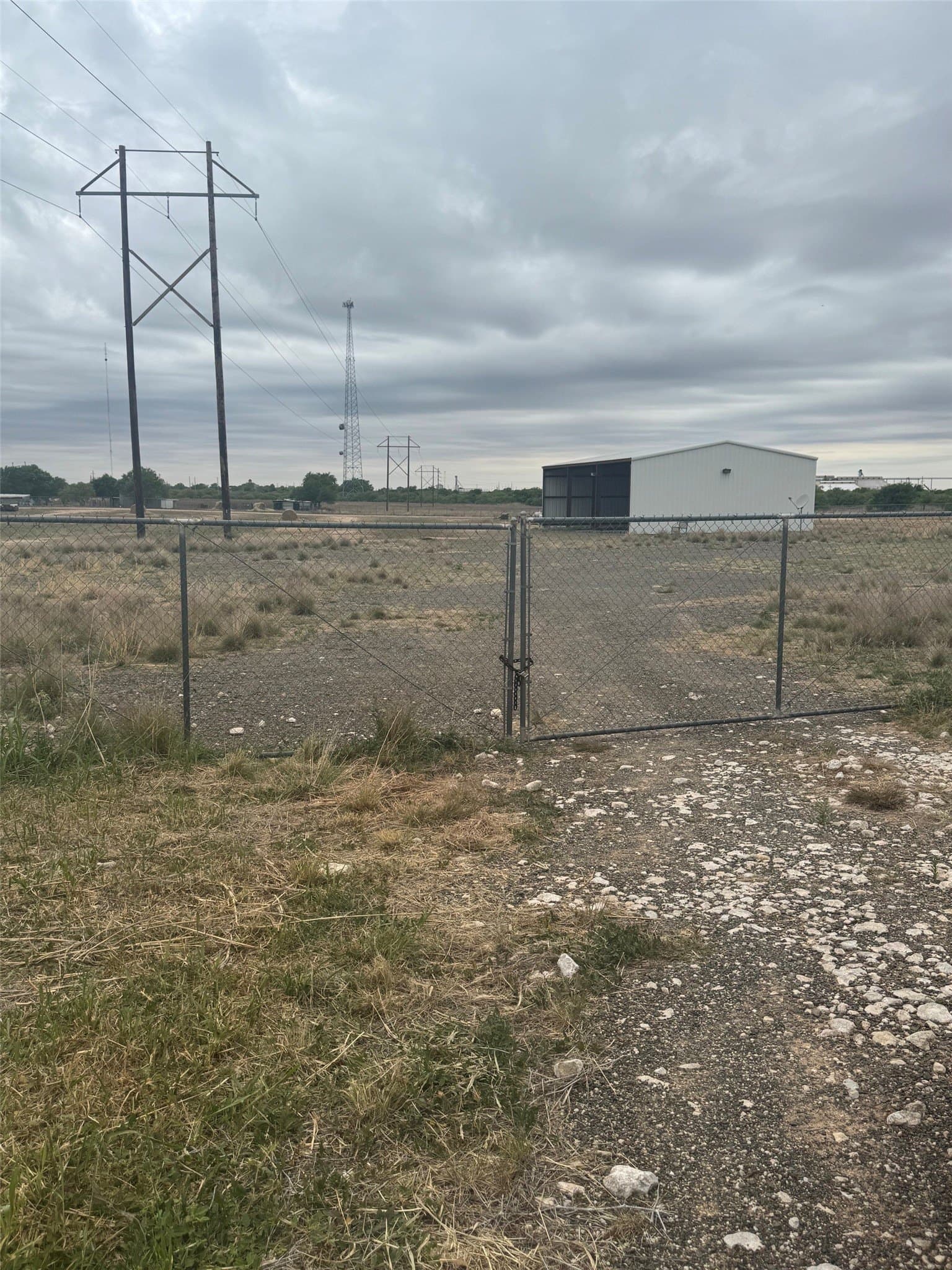 19.5 acres in Hardeman County - photo 3