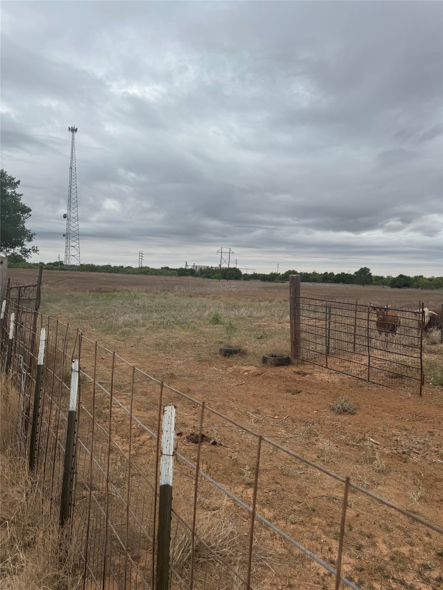 19.5 acres in Hardeman County - photo 10