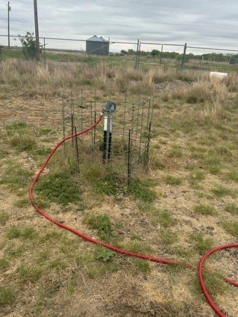 19.5 acres in Hardeman County - photo 8