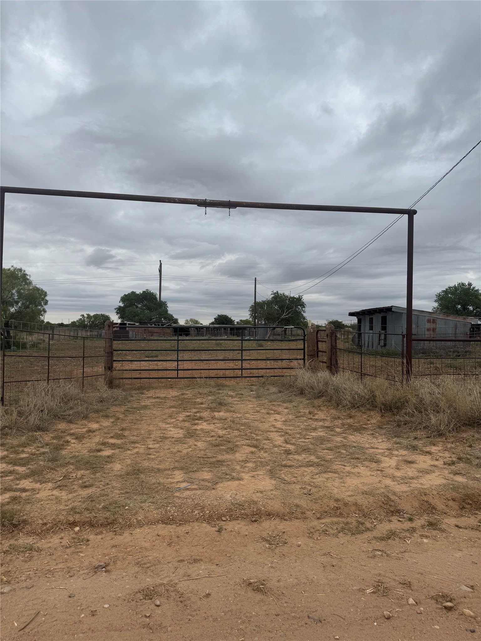 19.5 acres in Hardeman County - photo 9
