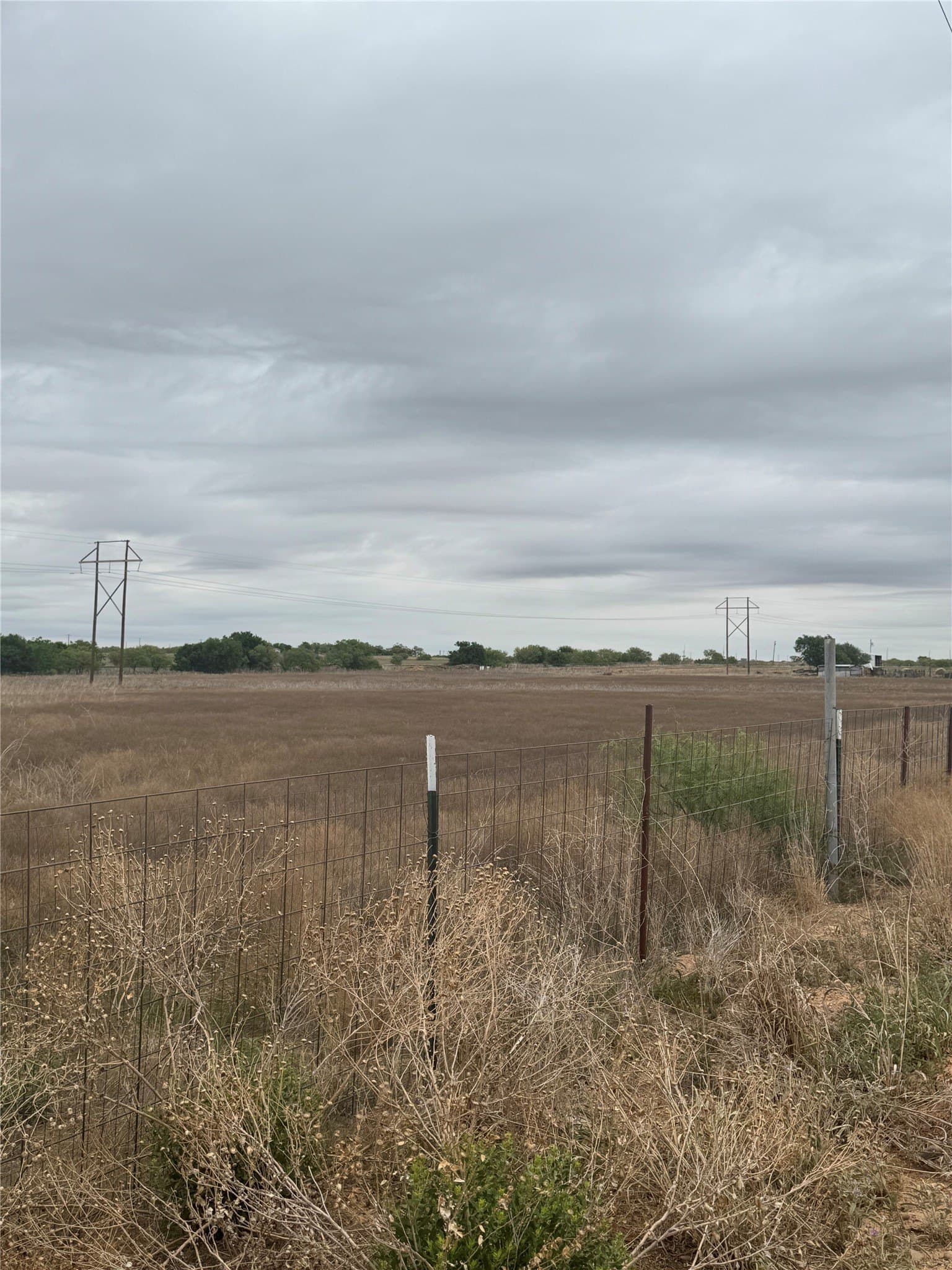 19.5 acres in Hardeman County - photo 11