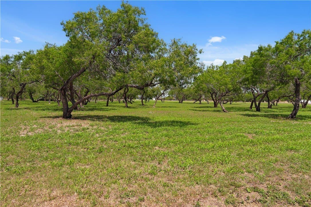 3.59 acres in Nueces County gallery image 3