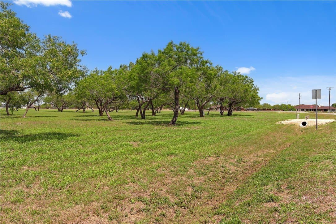 3.59 acres in Nueces County gallery image 4