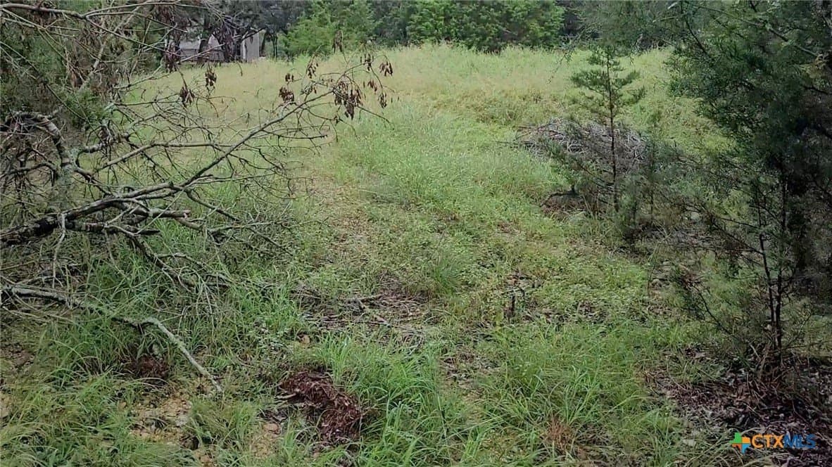 1.02 acres in Bell County gallery image 3