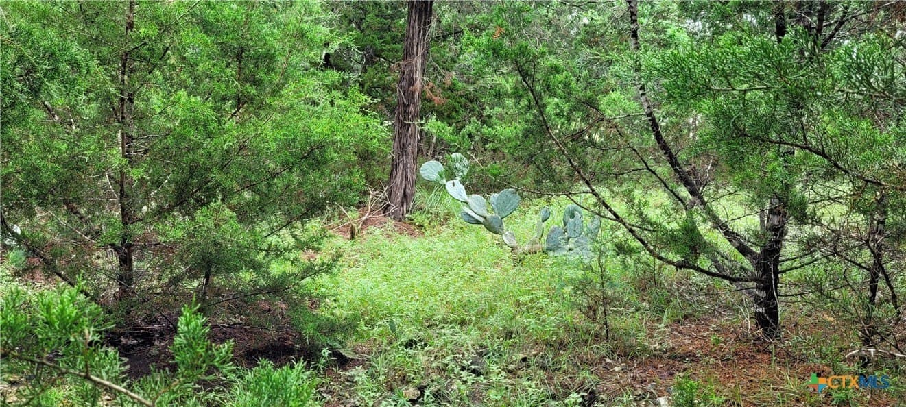 1.02 acres in Bell County gallery image 4