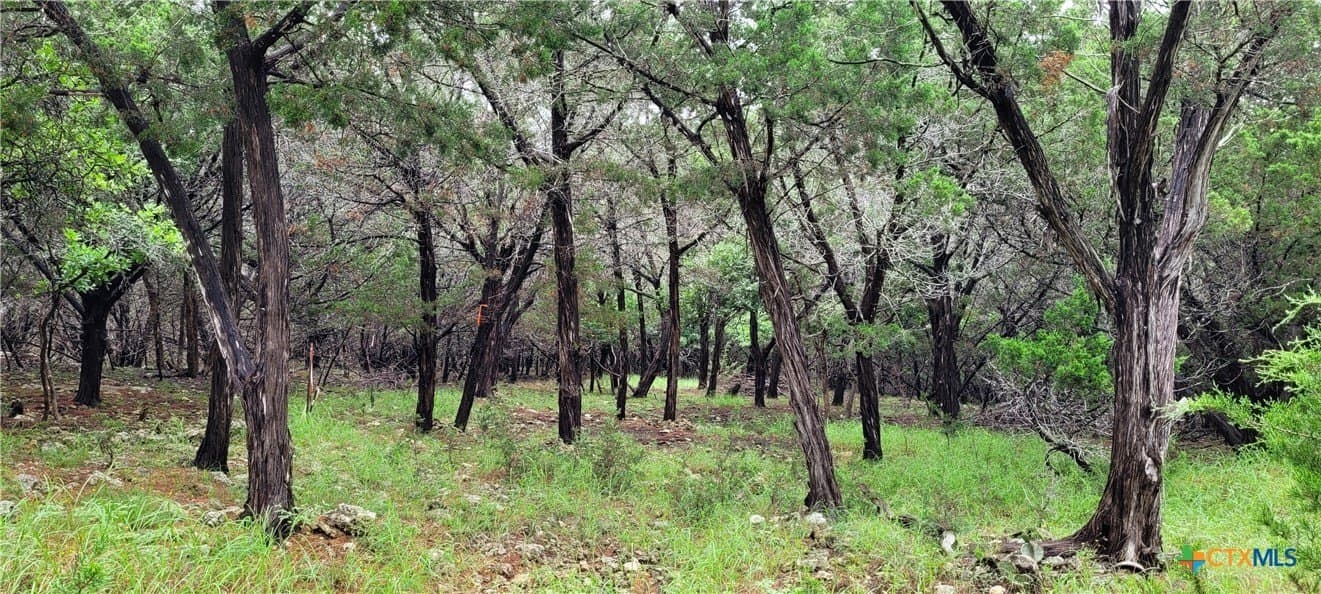 1.02 acres in Bell County gallery image 2