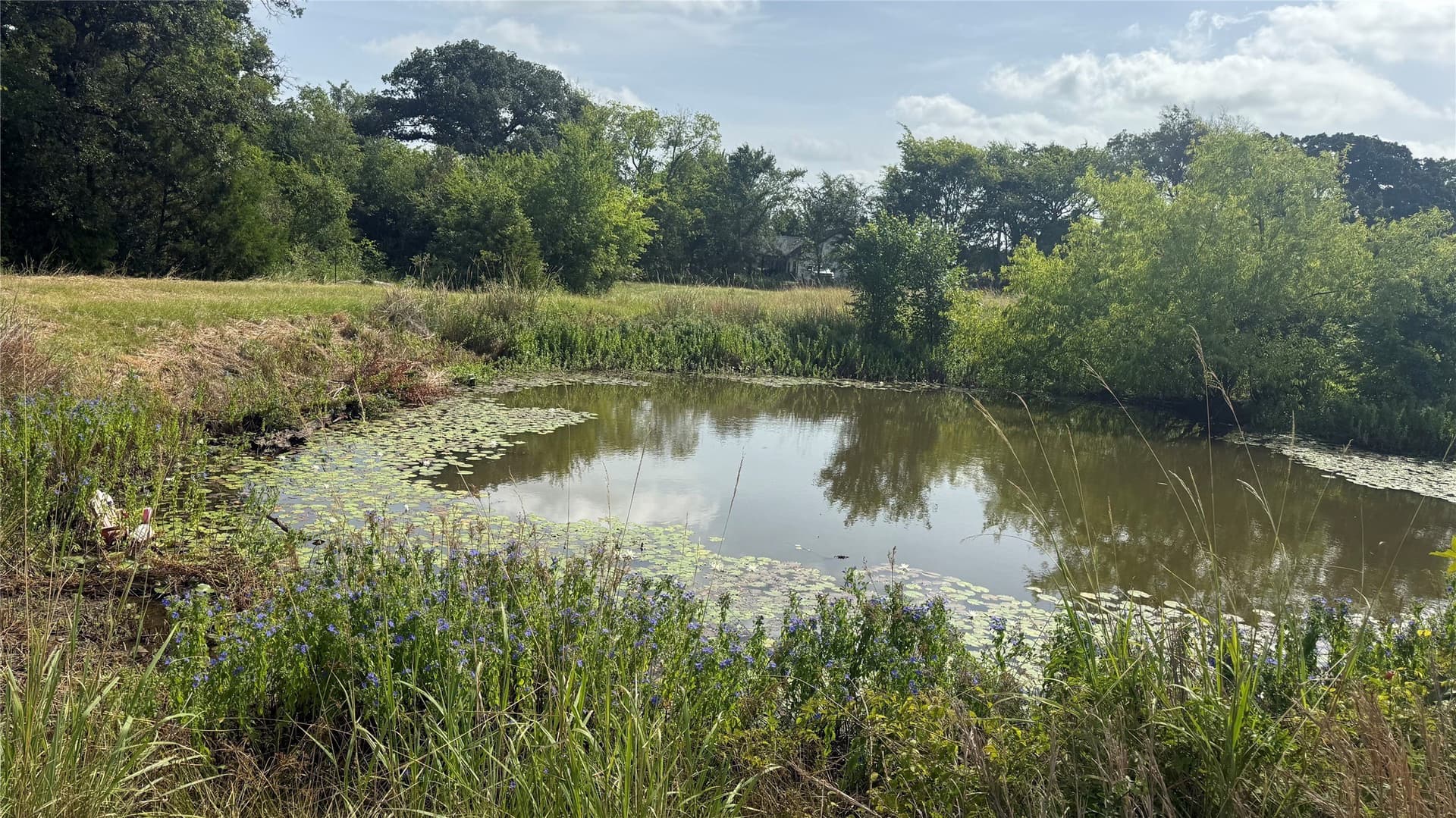 10 acres in Van Zandt County - photo 33