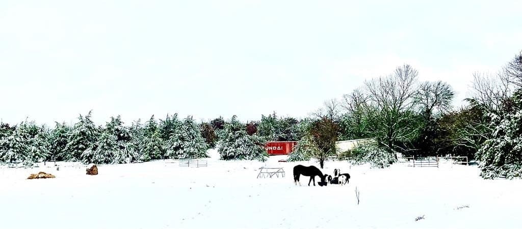 2.63 acres in Grayson County gallery image 3