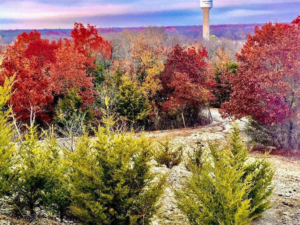 2.63 acres in Grayson County gallery image 2