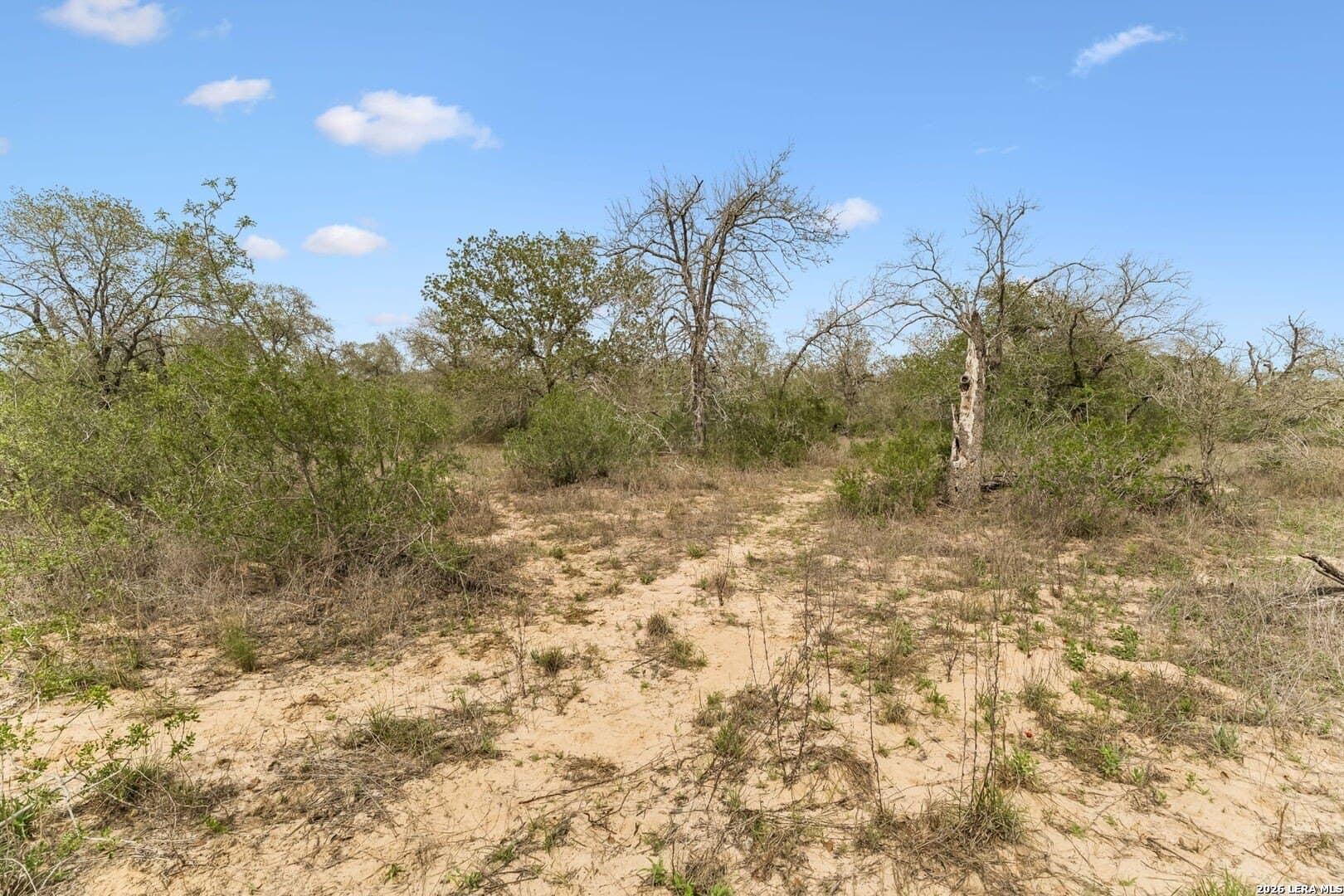 17.05 acres in Atascosa County - photo 6