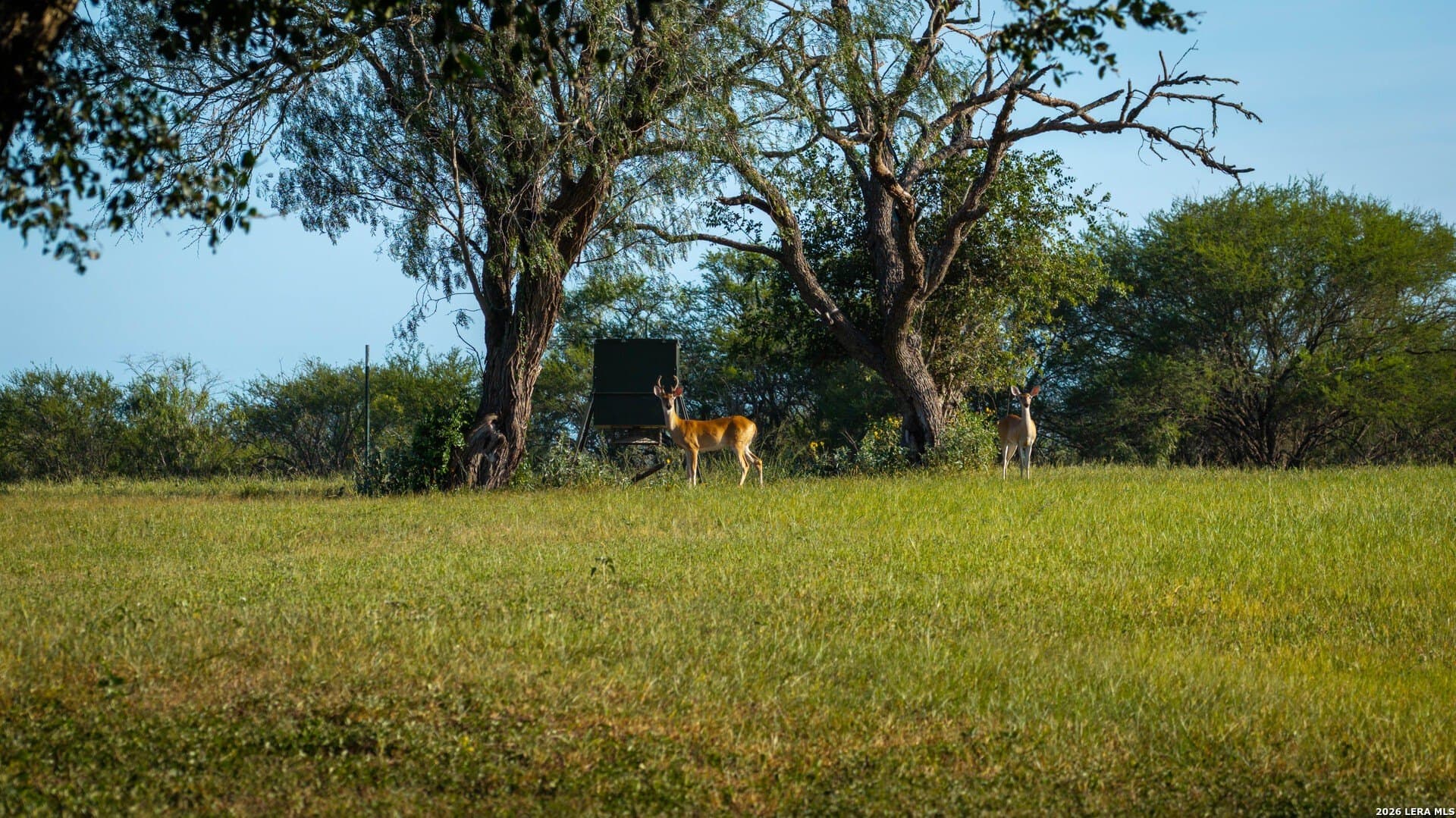 70 acres in Karnes County - photo 35