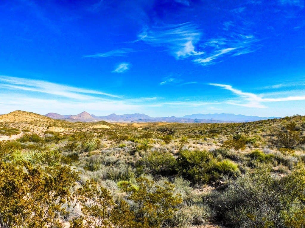 20 acres in Brewster County gallery image 2