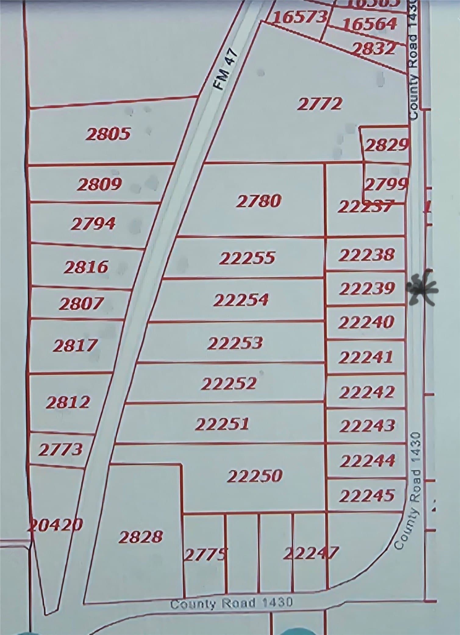 1.5 acres in Rains County gallery image 3