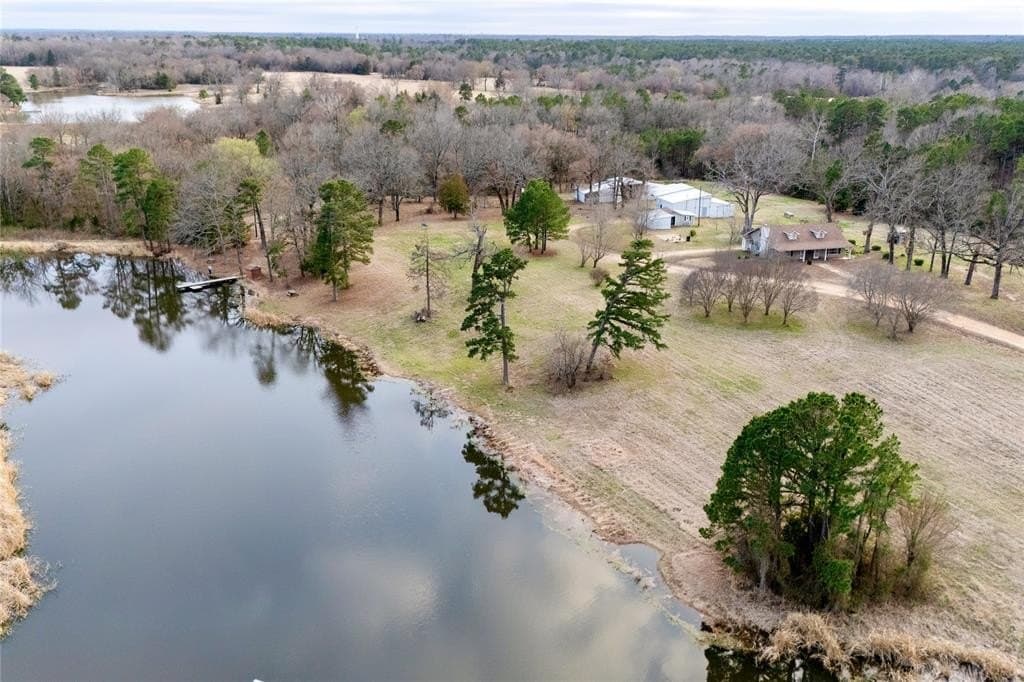 21.12 acres in Lamar County gallery image 3