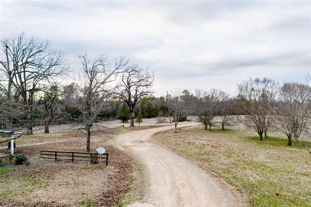 21.12 acres in Lamar County gallery image 2