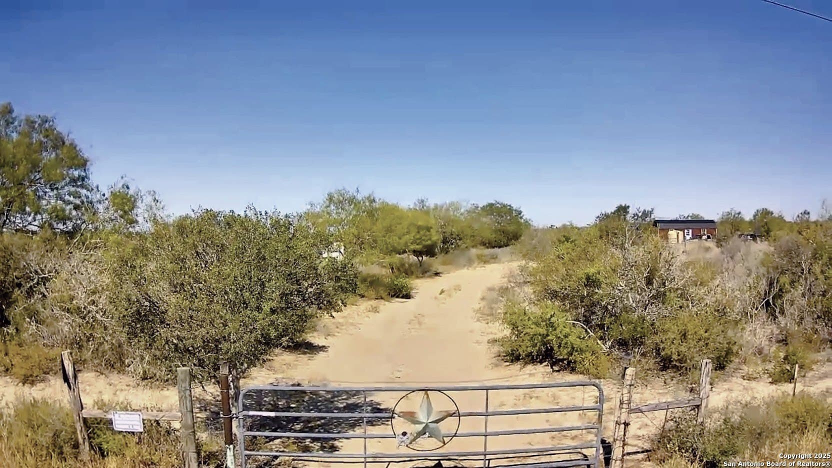 25 acres in Live Oak County gallery image 2