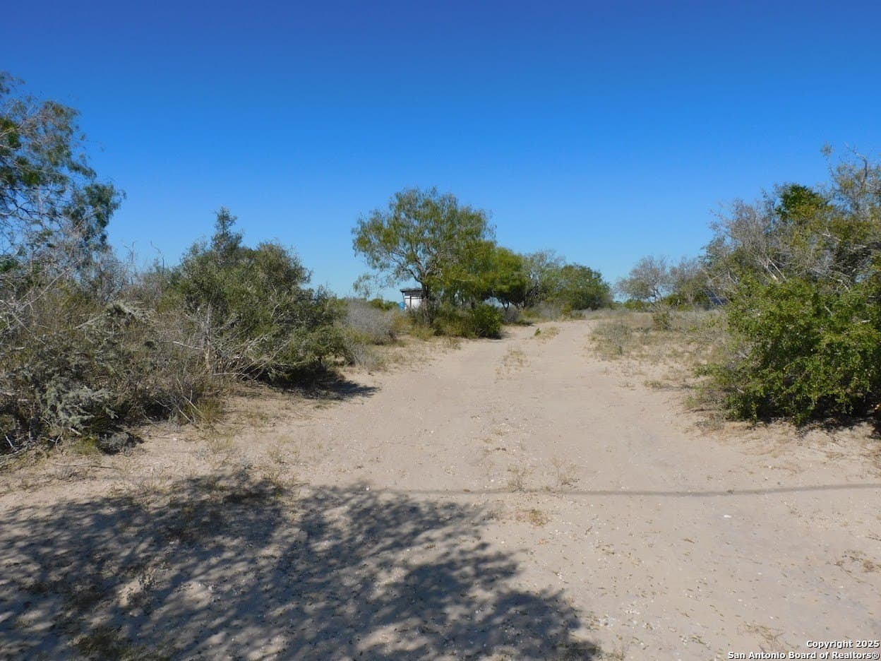 25 acres in Live Oak County featured view