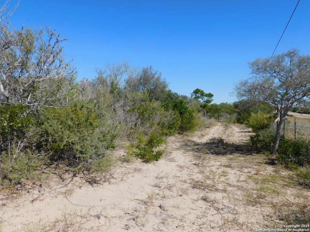25 acres in Live Oak County gallery image 3