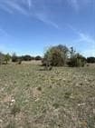 5.28 acres in Coryell County - photo 12