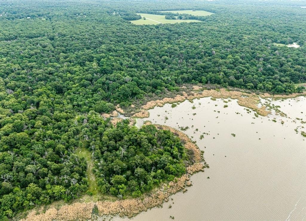 70.95 acres in Limestone County gallery image 3