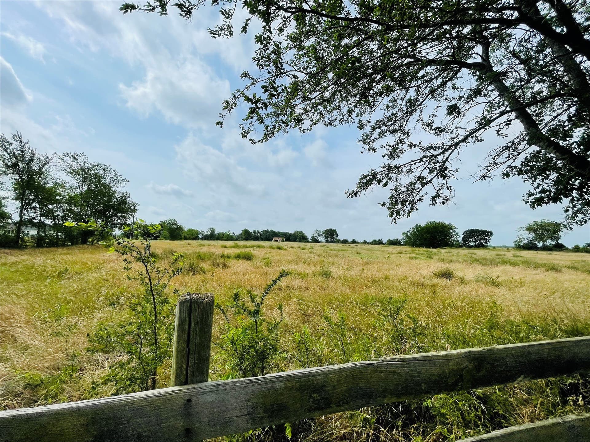 19.84 acres in Navarro County - photo 7