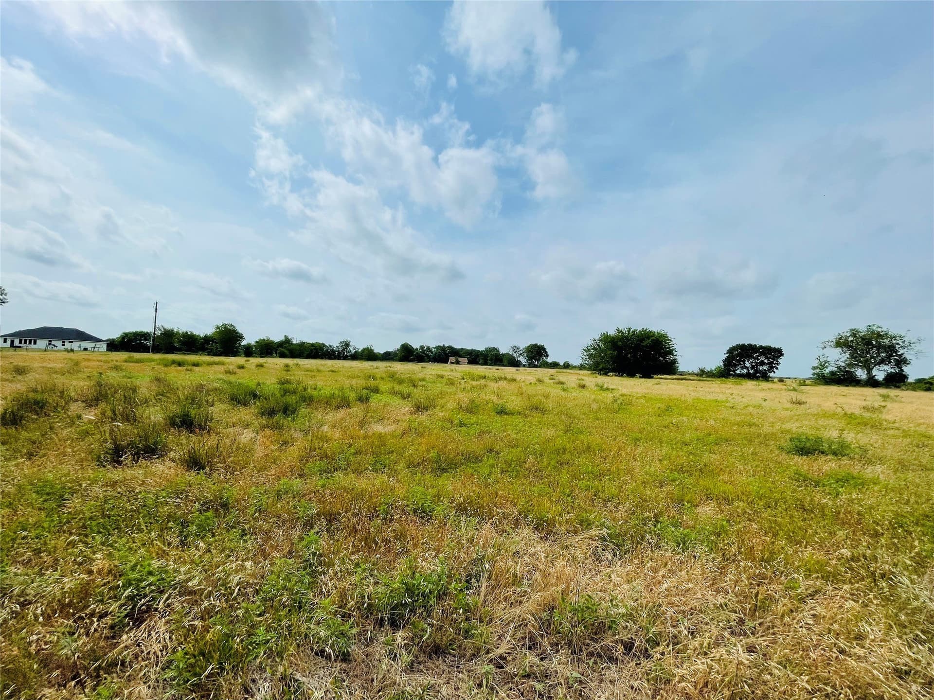 19.84 acres in Navarro County - photo 8