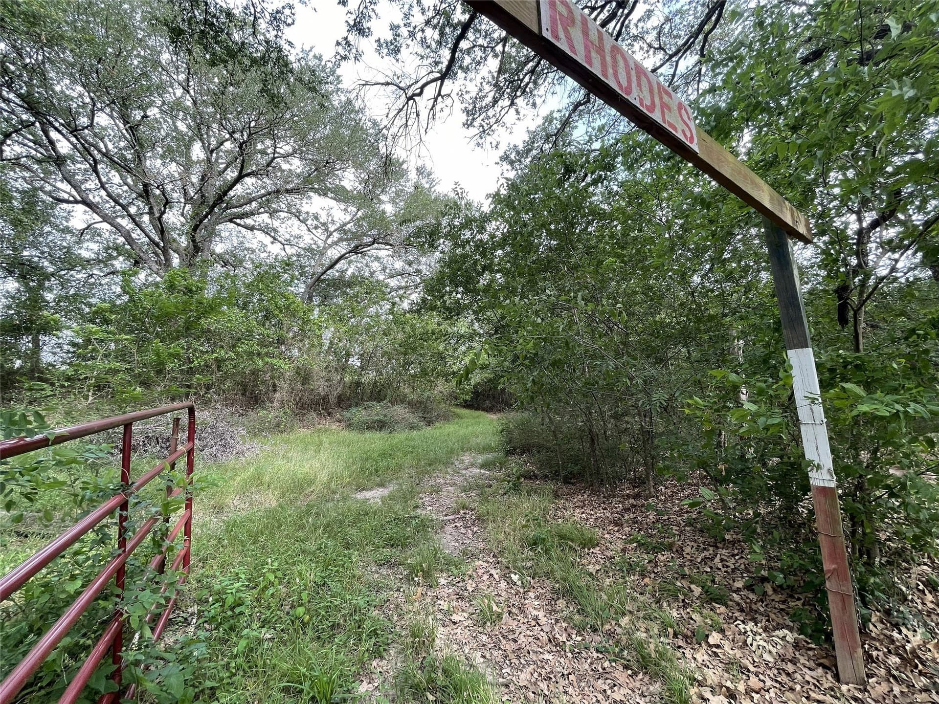 19.84 acres in Navarro County - photo 16
