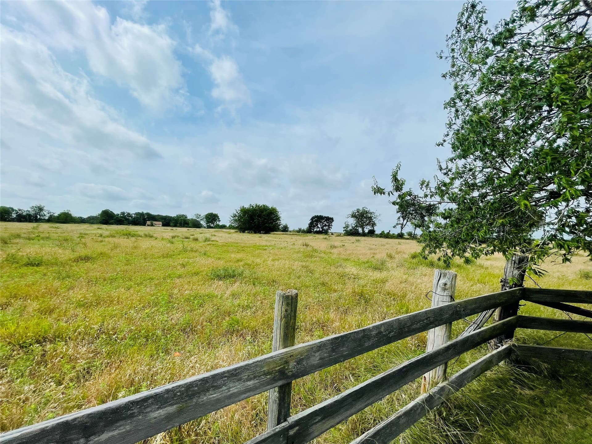 19.84 acres in Navarro County - photo 6