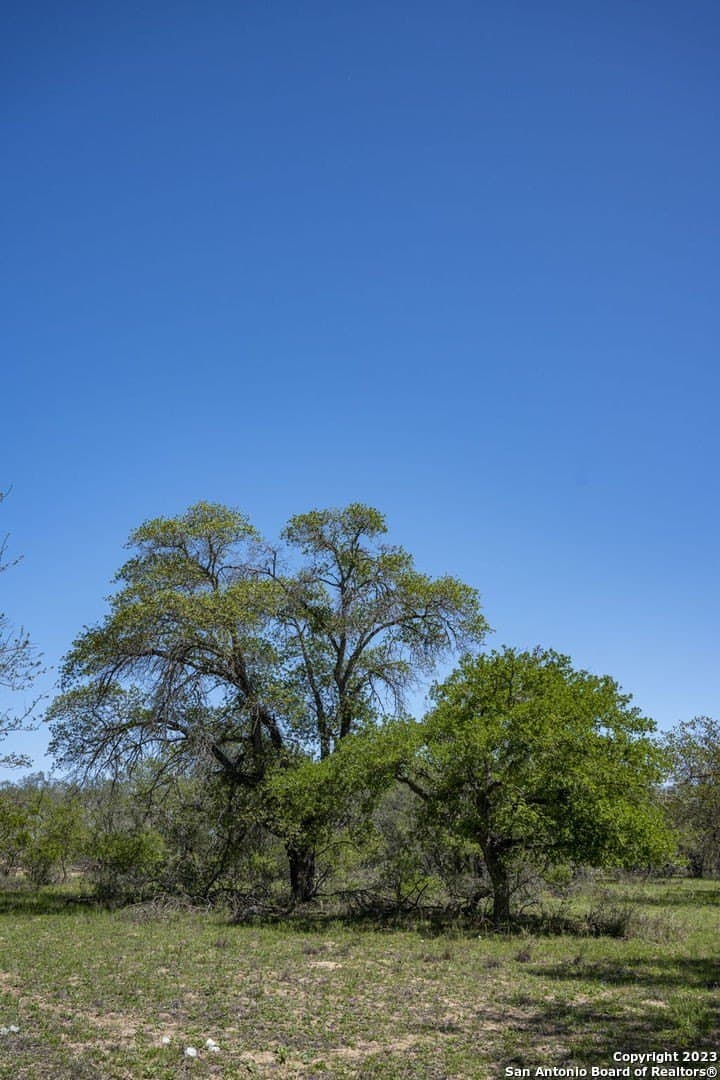 11.08 acres in Medina County - photo 17