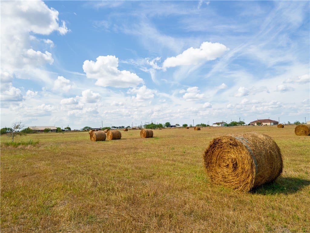 13.03 acres in San Patricio County - photo 23