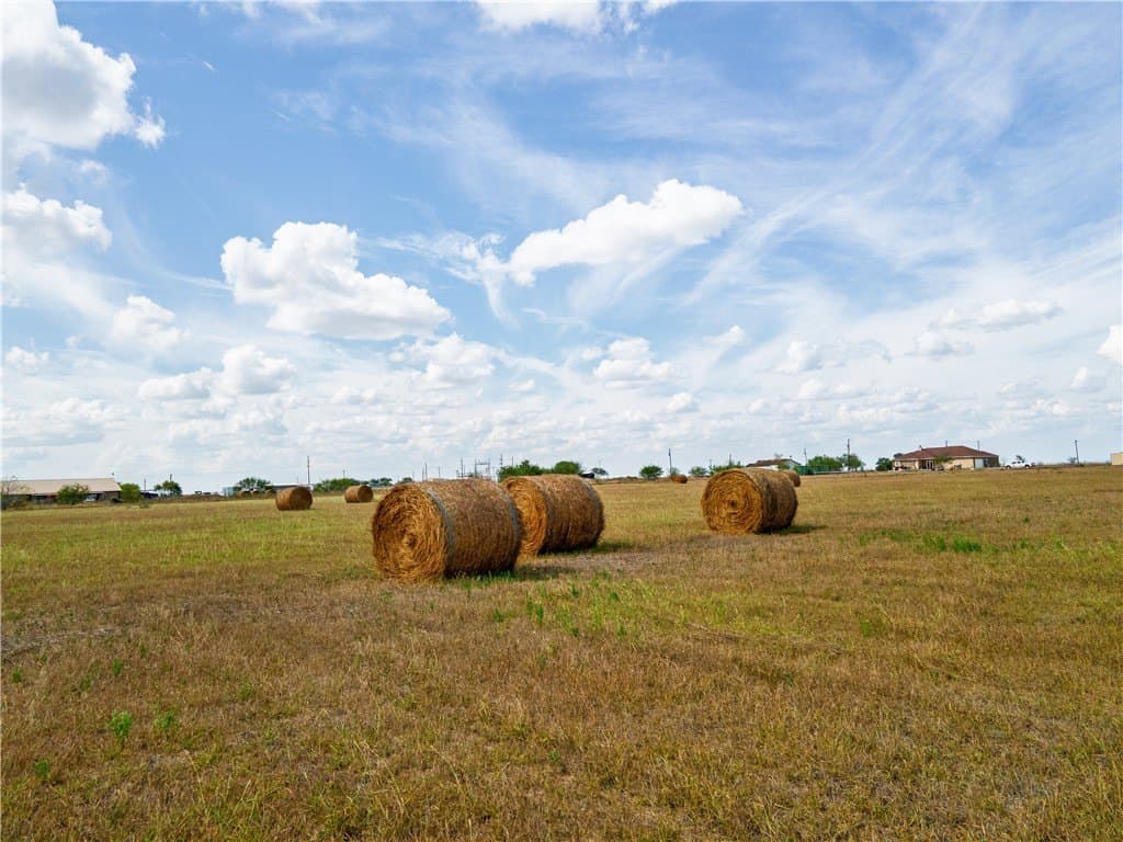 13.03 acres in San Patricio County - photo 24